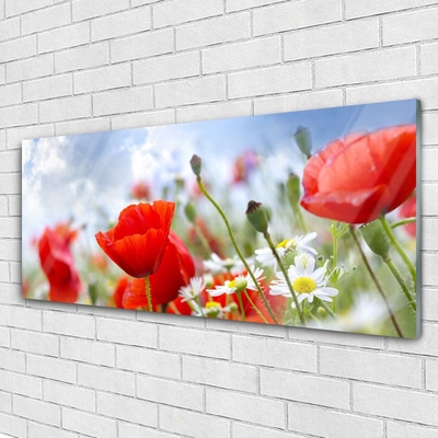 Glass Wall Art Poppies daisies floral red yellow white
