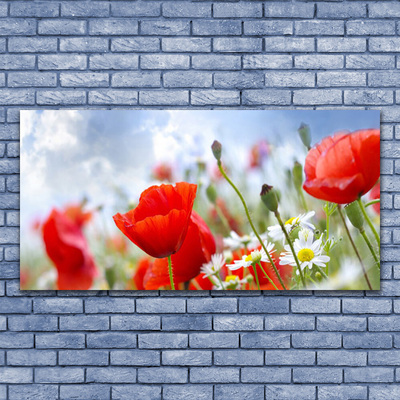 Glass Wall Art Poppies daisies floral red yellow white