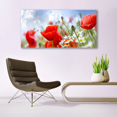 Glass Wall Art Poppies daisies floral red yellow white