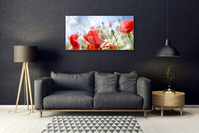 Glass Wall Art Poppies daisies floral red yellow white