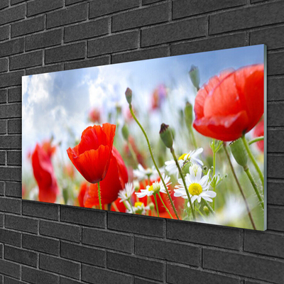 Glass Wall Art Poppies daisies floral red yellow white