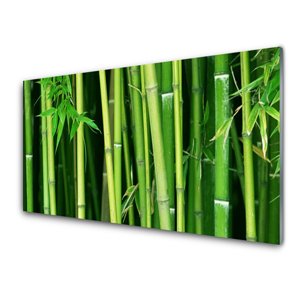 Glass Wall Art Bamboo stalks floral green