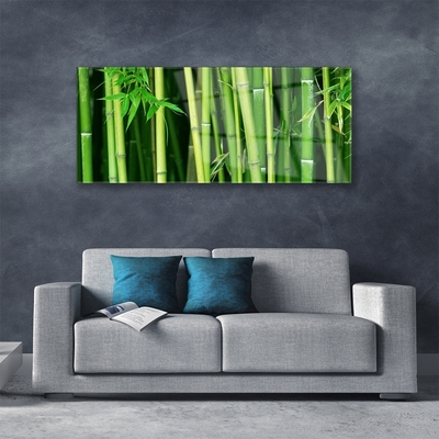 Glass Wall Art Bamboo stalks floral green