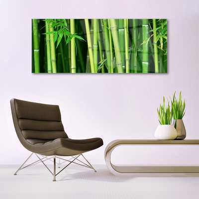 Glass Wall Art Bamboo stalks floral green