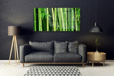 Glass Wall Art Bamboo stalks floral green