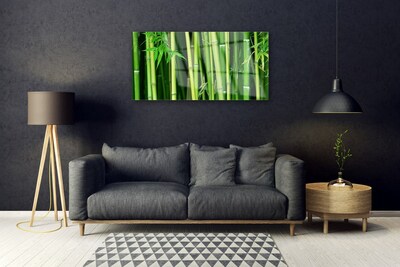 Glass Wall Art Bamboo stalks floral green