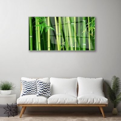 Glass Wall Art Bamboo stalks floral green