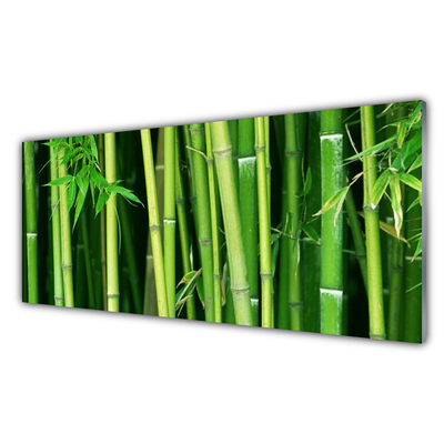 Glass Wall Art Bamboo stalks floral green