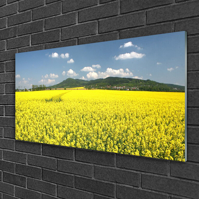 Glass Wall Art Meadow nature yellow