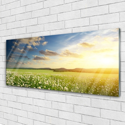 Glass Wall Art Meadow flowers landscape green white