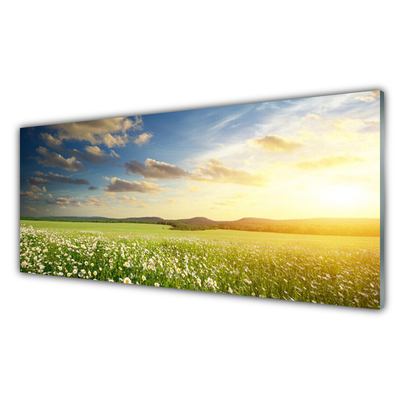 Glass Wall Art Meadow flowers landscape green white