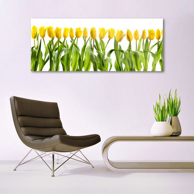 Glass Wall Art Tulips floral green yellow