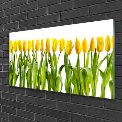 Glass Wall Art Tulips floral green yellow