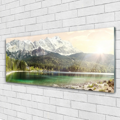 Glass Wall Art Mountain forest lake landscape white grey green