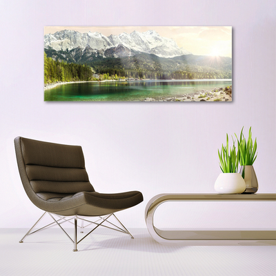 Glass Wall Art Mountain forest lake landscape white grey green