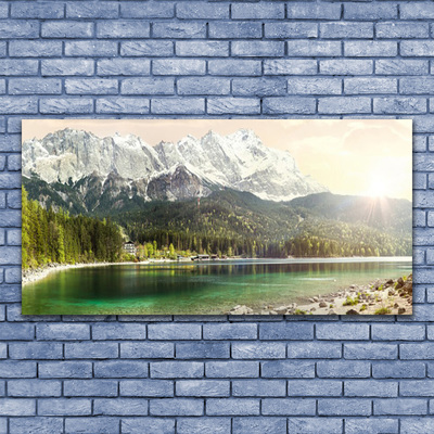 Glass Wall Art Mountain forest lake landscape white grey green