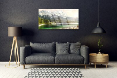 Glass Wall Art Mountain forest lake landscape white grey green