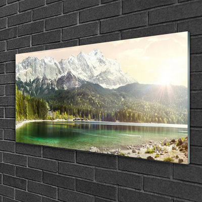 Glass Wall Art Mountain forest lake landscape white grey green