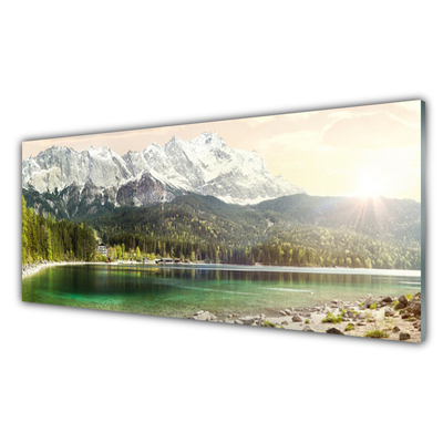 Glass Wall Art Mountain forest lake landscape white grey green