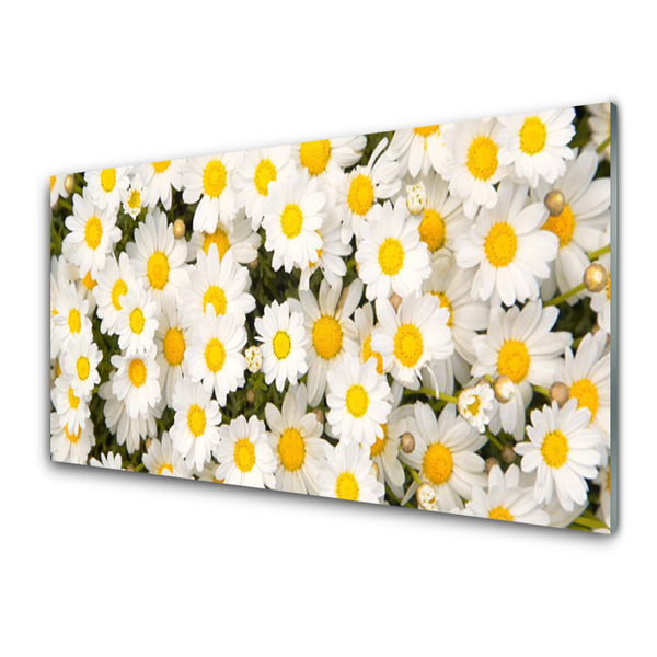 Glass Wall Art Daisy floral yellow white