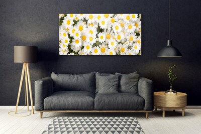 Glass Wall Art Daisy floral yellow white