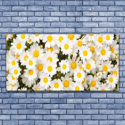 Glass Wall Art Daisy floral yellow white