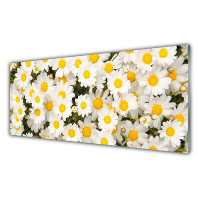 Glass Wall Art Daisy floral yellow white