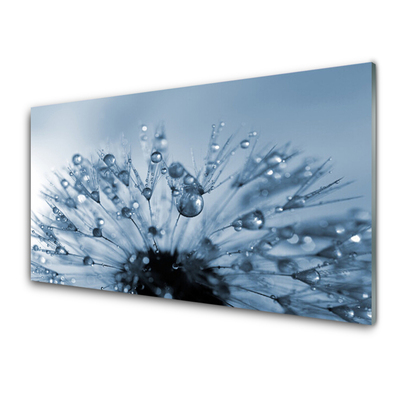 Glass Print Wall Art 100x70cm Image on Glass Decorative Wall Picture 3338879 