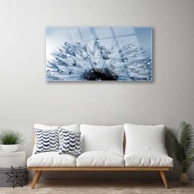 Glass print Wall art 125x50 Image Picture Dandelion Floral 