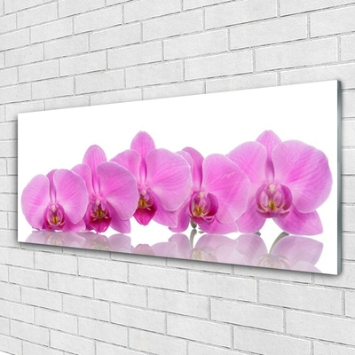 Glass Wall Art Flowers floral pink