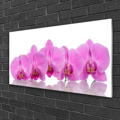 Glass Wall Art Flowers floral pink