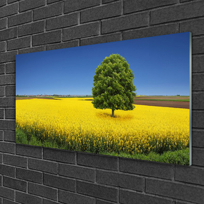 Glass Wall Art Meadow tree nature yellow brown green