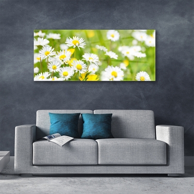 Glass Wall Art Daisy floral yellow white