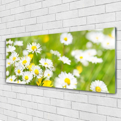 Glass Wall Art Daisy floral yellow white