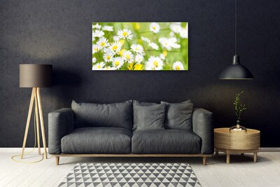 Glass Wall Art Daisy floral yellow white