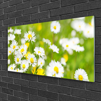 Glass Wall Art Daisy floral yellow white