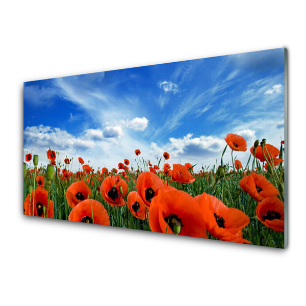 Glass Wall Art Meadow poppies floral green red
