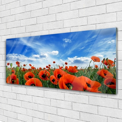 Glass Wall Art Meadow poppies floral green red