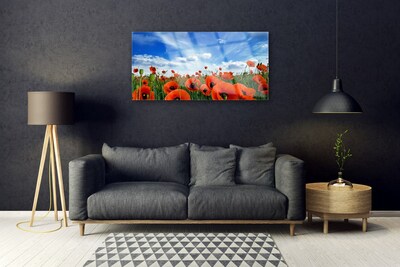 Glass Wall Art Meadow poppies floral green red