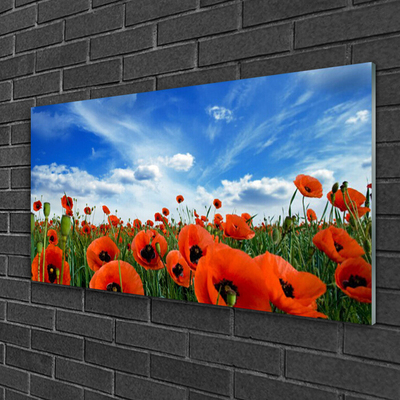 Glass Wall Art Meadow poppies floral green red