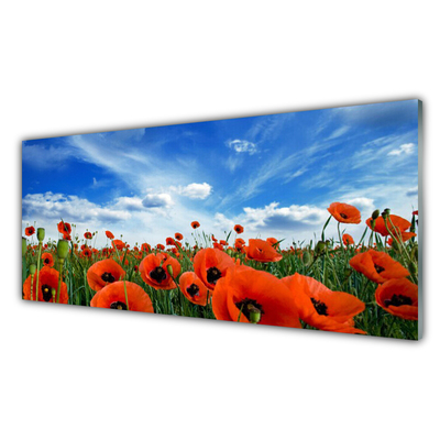 Glass Wall Art Meadow poppies floral green red