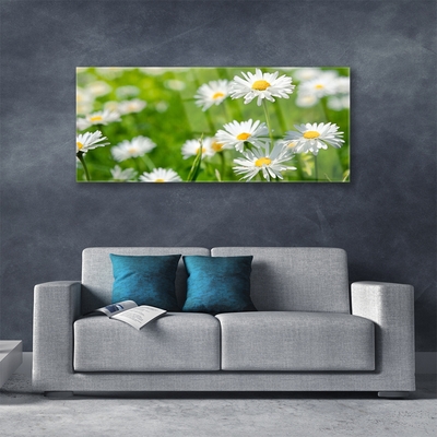 Glass Wall Art Daisy floral yellow white