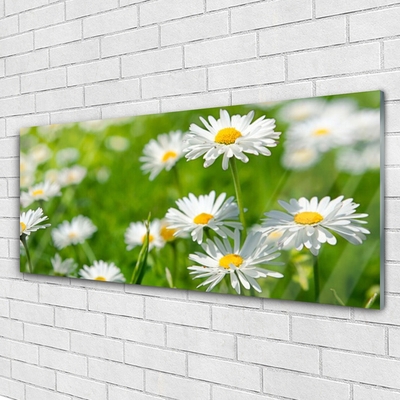 Glass Wall Art Daisy floral yellow white