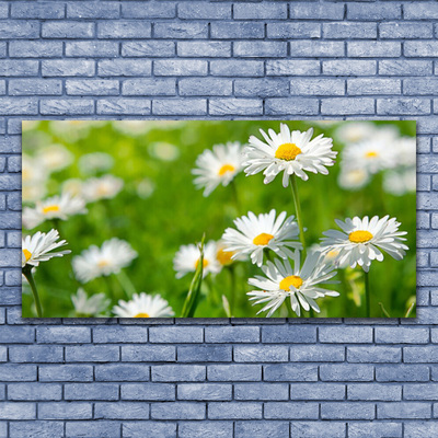 Glass Wall Art Daisy floral yellow white