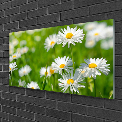 Glass Wall Art Daisy floral yellow white