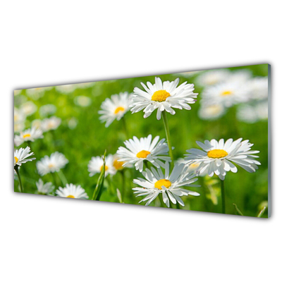 Glass Wall Art Daisy floral yellow white