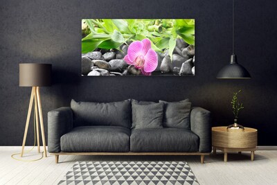 Glass Wall Art Flower leaves stones art pink green black