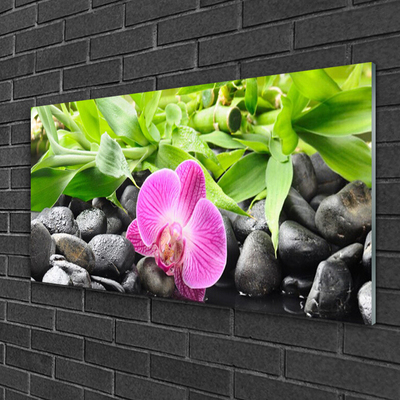 Glass Wall Art Flower leaves stones art pink green black