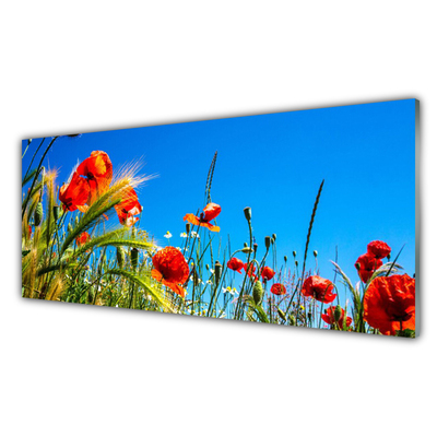 Glass Wall Art Flowers floral red green