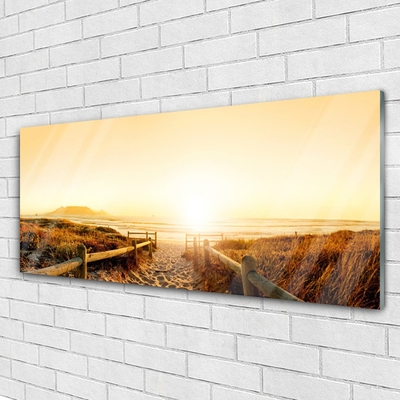 Glass Wall Art Footpath landscape brown